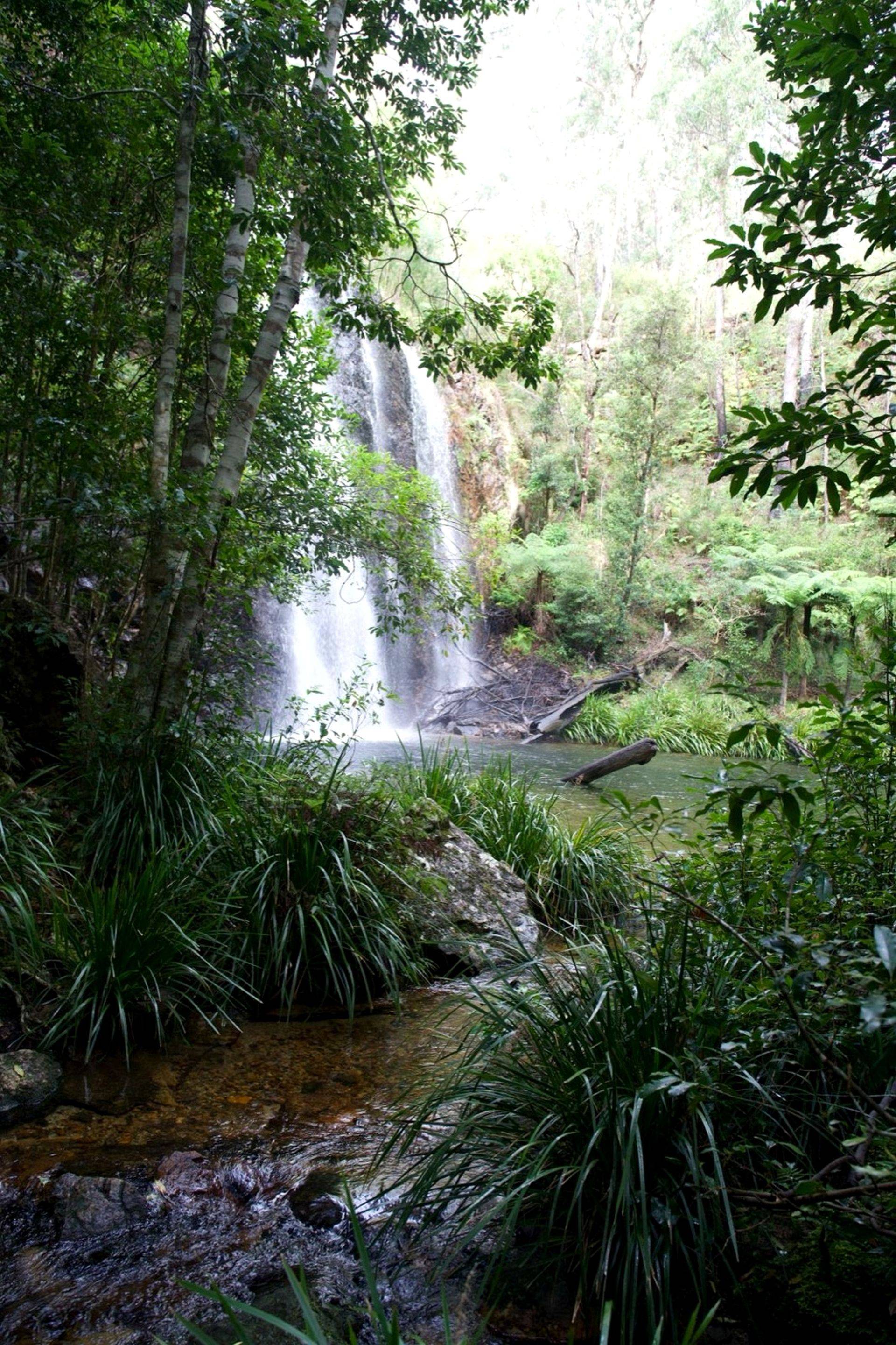 Tour image