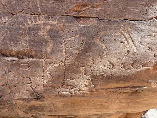 Larapinta Cultural Immersion gallery 1