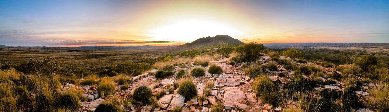 Oz Eco Tours